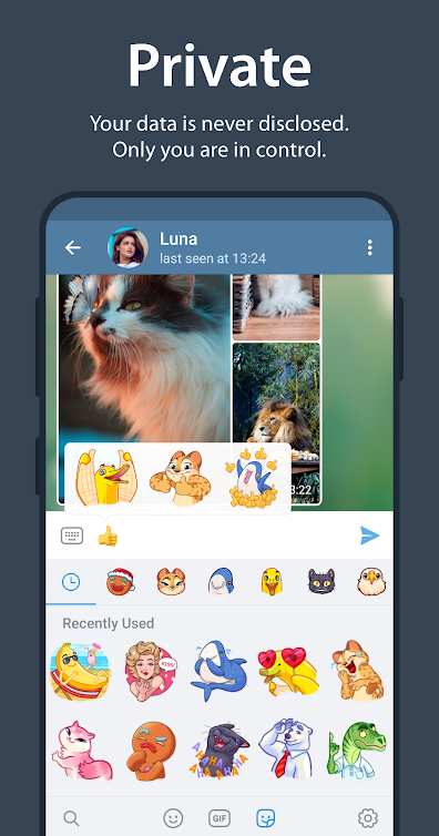 Why you must use Telegram chat app? 2
