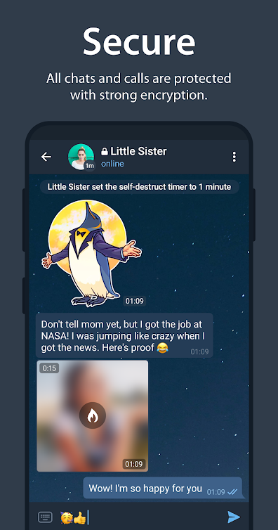 Why you must use Telegram chat app? 5