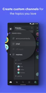 Discord the Team chat app 3