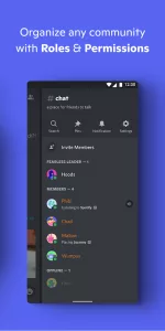 Discord the Team chat app 5